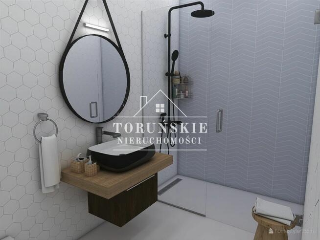 Domy Aleksandrów Kujawski