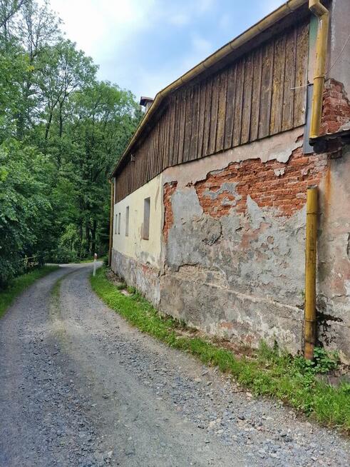 Syndyk masy upadłości sprzeda nieruchomość