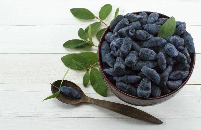 Jagoda kamczacka Wojtek