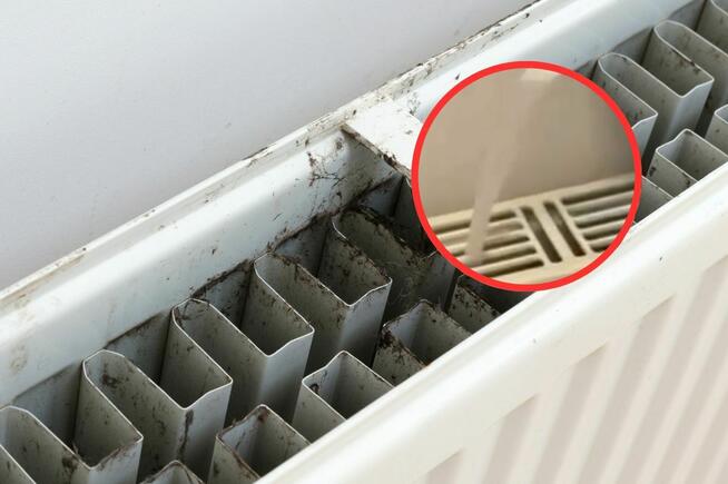 Czyszczenie kaloryferów myjką parową, odkurzanie, dezynfekcja