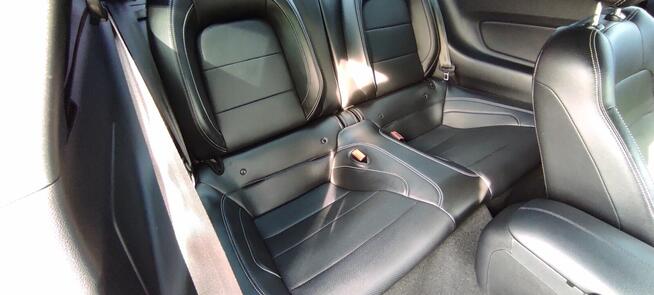 Czysty Dom i Samochód-Marcin Kwapisz