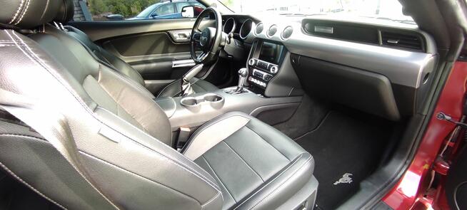 Czysty Dom i Samochód-Marcin Kwapisz