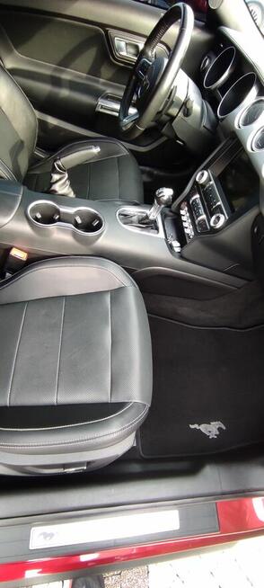 Czysty Dom i Samochód-Marcin Kwapisz