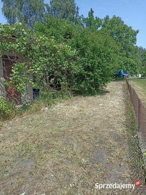 Działka rekreacyjna / ogrodowa ROD ul. Harcerska Konin