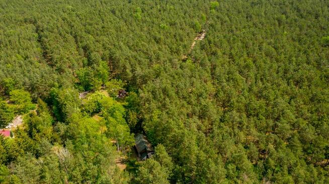 Działka leśna ujęta w MPZP pod zabudowę