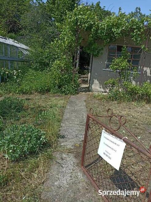 Działka rekreacyjna / ogrodowa ROD ul. Harcerska Konin