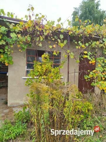 Działka rekreacyjna / ogrodowa ROD ul. Harcerska Konin