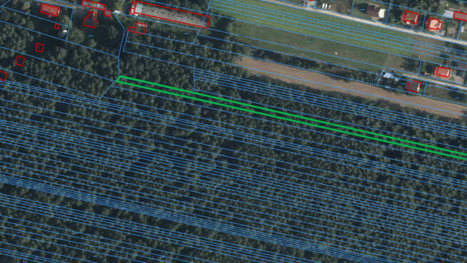 Sprzedam las stuletni Rakowiec