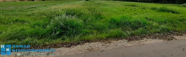 Pęcice Małe - zielona okolica