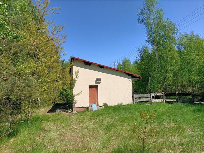 Dom na działce 4200 m2 w Gródku gm. Policzna.