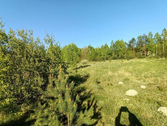 Dom na działce 4200 m2 w Gródku gm. Policzna.