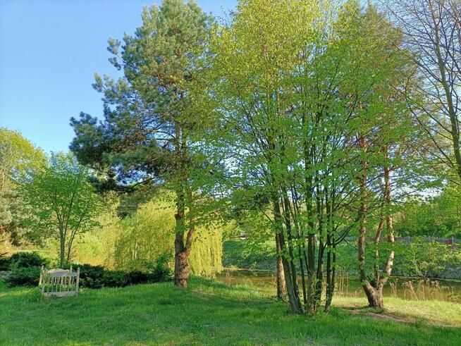 Dom na działce 4200 m2 w Gródku gm. Policzna.