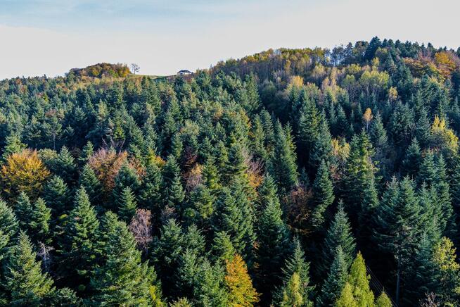Widokowa działka nad Jeziorem Rożnowskim