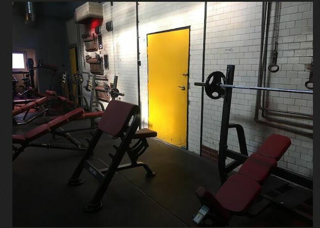 Trener personalny i zawodowy trener siłowni Drezdenko, Krzyż