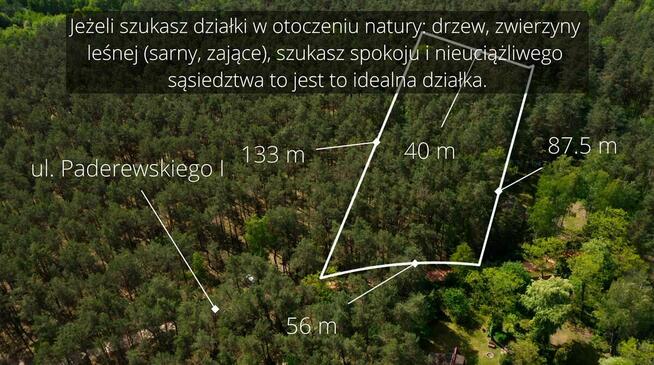 Działka leśna ujęta w MPZP pod zabudowę