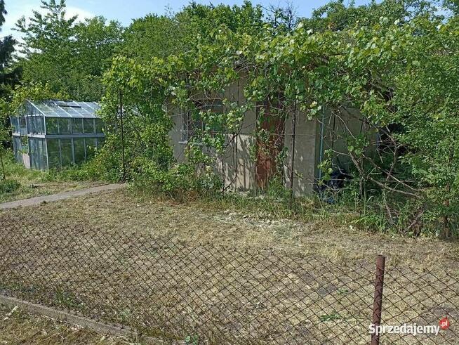 Działka rekreacyjna / ogrodowa ROD ul. Harcerska Konin