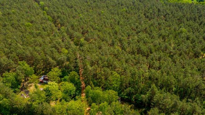 Działka leśna ujęta w MPZP pod zabudowę