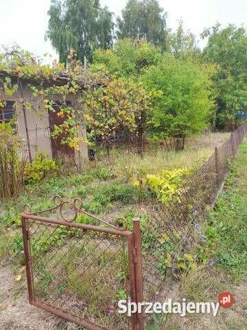 Działka rekreacyjna / ogrodowa ROD ul. Harcerska Konin