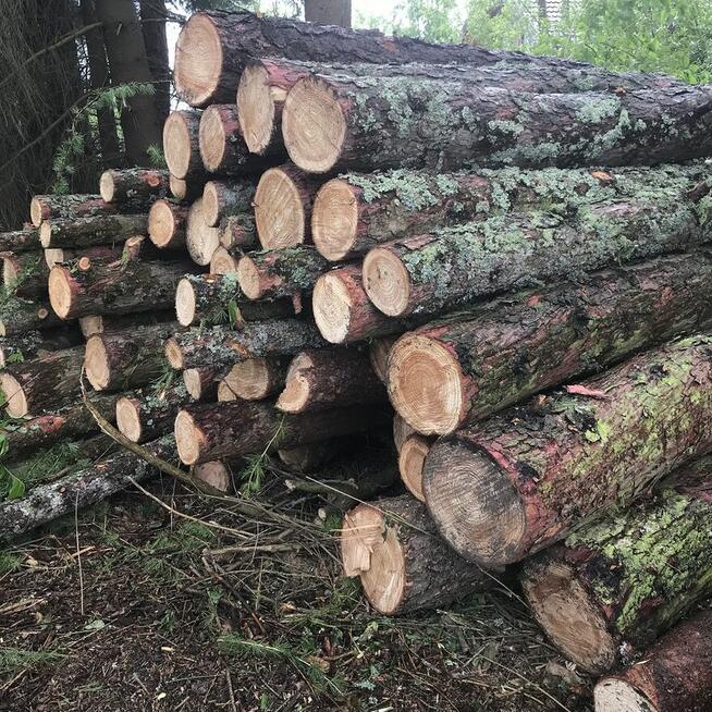 Drewno kominkowe / opałowe / budulec dł. / Jesion Dąb Świerk