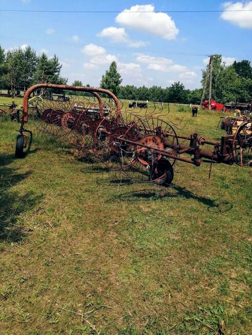 Grabiarkę siedmiogwiazdową