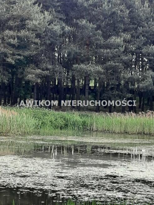 Działka Strzyboga gm. Nowy Kawęczyn