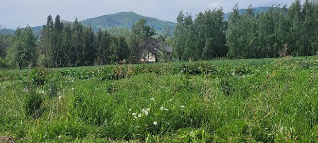 działka w Moszczance piękny krajobraz