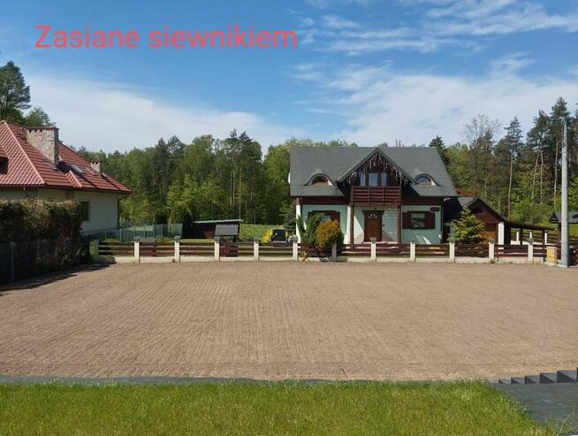 Zakładanie trawnika System nawadniania