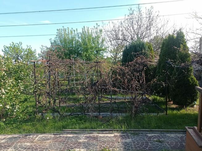 Działka Rekreacyjna Rod Warpie - Jaworzno Sprzedam zapraszam