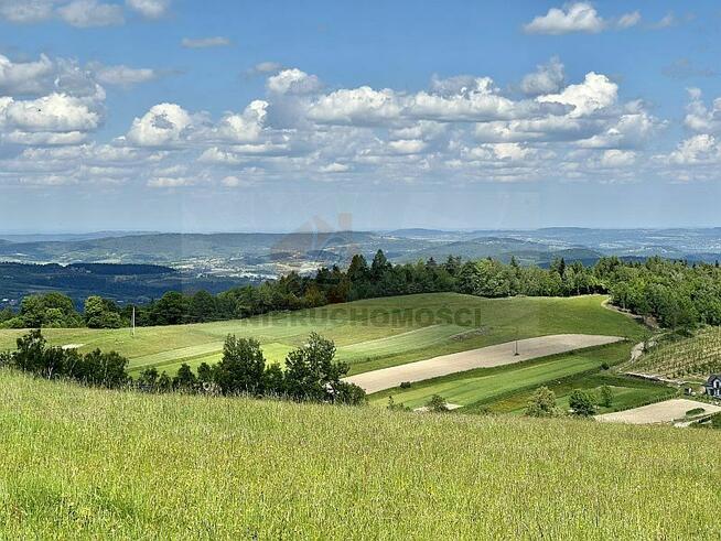 088G Skrzętla-Rojówka gmina Łososina Dolna, działka rolna z