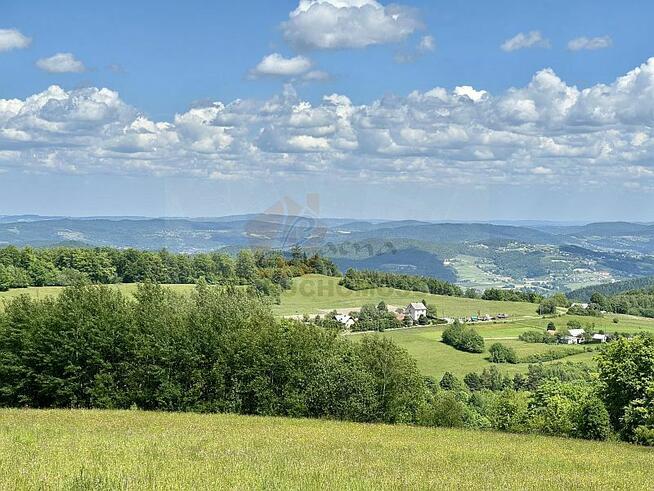 088G Skrzętla-Rojówka gmina Łososina Dolna, działka rolna z