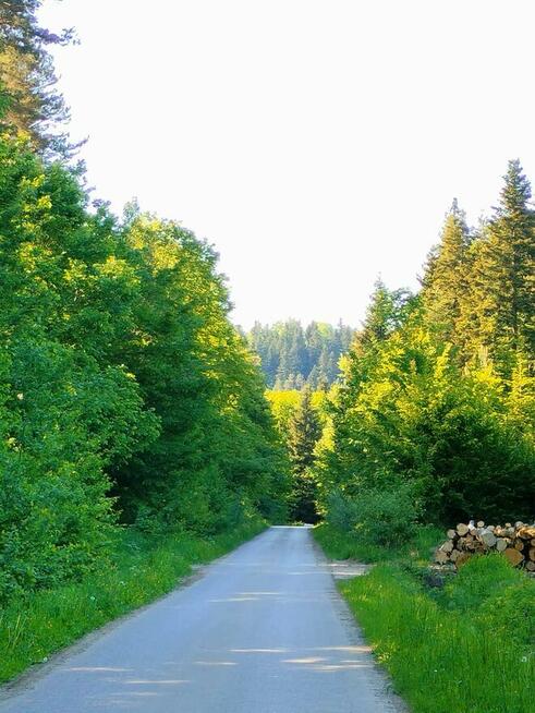 Działki budowlane 55 arów cena za dwie Leszczyny, Kalwaria