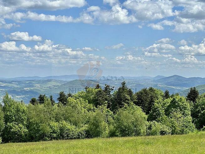 088G Skrzętla-Rojówka gmina Łososina Dolna, działka rolna z