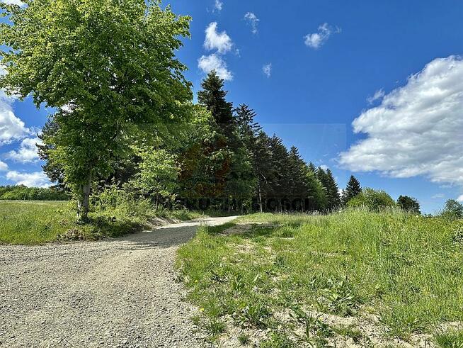 088G Skrzętla-Rojówka gmina Łososina Dolna, działka rolna z