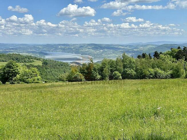 088G Skrzętla-Rojówka gmina Łososina Dolna, działka rolna z