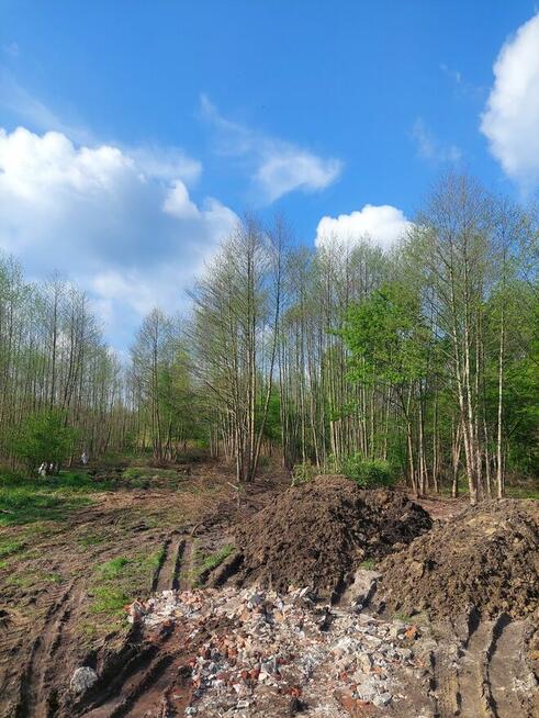 usługi pożądkowe łódzkie