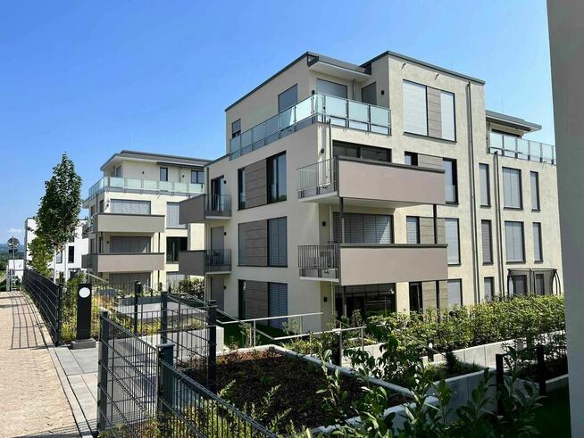 Balustrady, schody, zadaszenia, bramy ze stali nierdzewnej