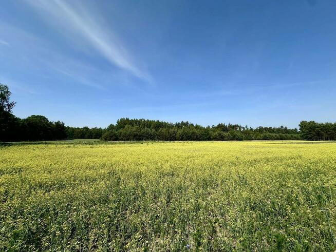 Działka 1168m2,  Dąbrówka Wyłazy