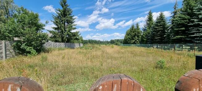 Działka w Zbuczynie o powierzchni 3000m2