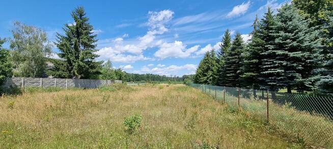 Działka w Zbuczynie o powierzchni 3000m2