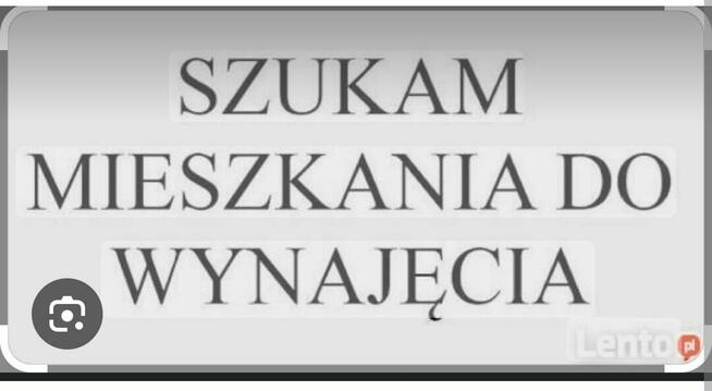 poszukuje mieszkania do wynajęcia