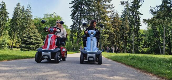 Wózek elektryczny czterokołowy ELECTRORIDE FASTI MED