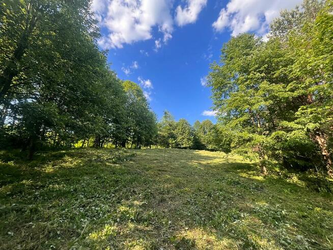 Działka budowlana w Beskidzie Niskim