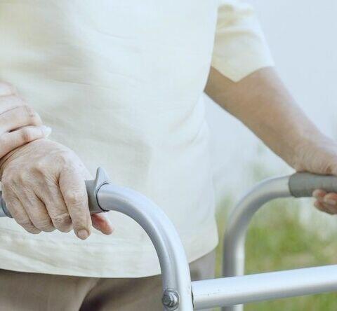 Pomoc Seniorom, Usługi dla Seniorów