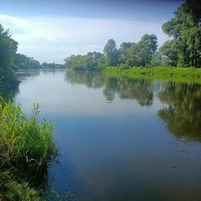 Działka / Łąka w atrakcyjnej lokalizacji NPK nad rzeką