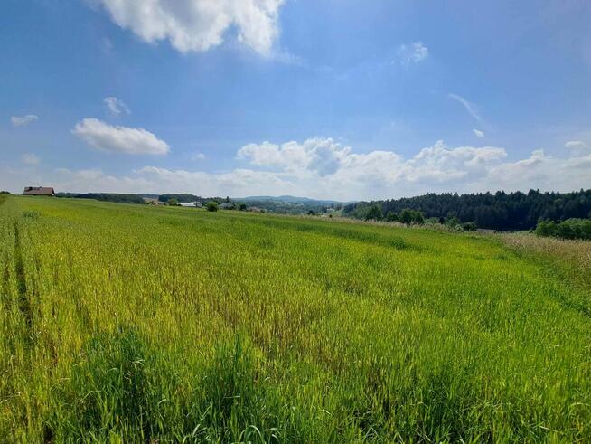 Czermna g. Szerzyny działka 56 ar