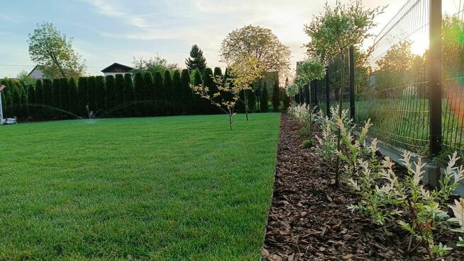 Usługi Ogrodnicze - Kraków i okolice