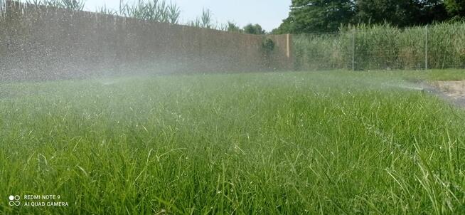 Usługi Ogrodnicze - Kraków i okolice