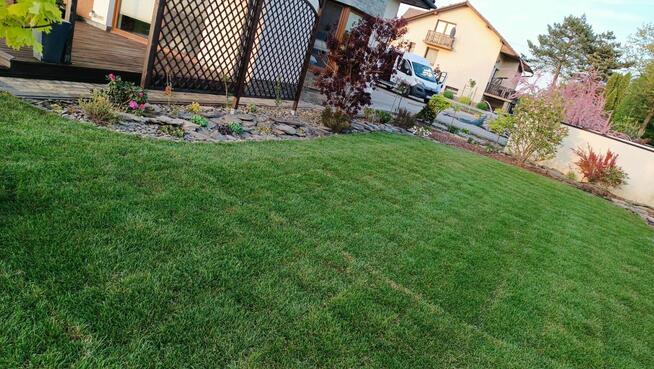 Usługi Ogrodnicze - Kraków i okolice