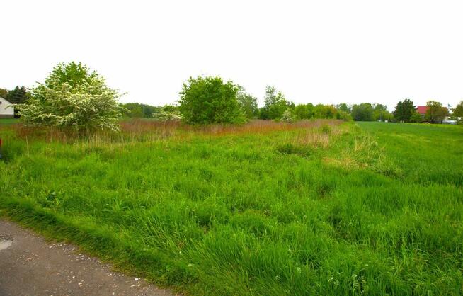 Działka budowlana z warunkami zabudowy