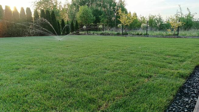 Usługi Ogrodnicze - Kraków i okolice